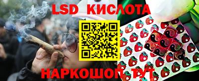 таблы Новокубанск